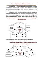 Diplomdarbs 'Speciālās internātskolas bērniem ar garīgās attīstības traucējumiem sociālā peda', 31.