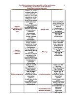 Diplomdarbs 'Speciālās internātskolas bērniem ar garīgās attīstības traucējumiem sociālā peda', 35.