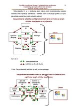 Diplomdarbs 'Speciālās internātskolas bērniem ar garīgās attīstības traucējumiem sociālā peda', 73.