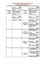 Diplomdarbs 'Speciālās internātskolas bērniem ar garīgās attīstības traucējumiem sociālā peda', 78.