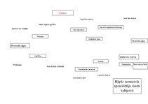 Konspekts 'Cēloņa meklēšana, problēmu risināšana', 2.