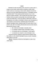 Referāts 'Frazeoloģismu lietojums vidusskolēnu leksikā', 3.