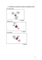 Referāts 'Frazeoloģismu lietojums vidusskolēnu leksikā', 17.