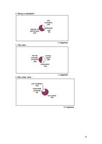 Referāts 'Frazeoloģismu lietojums vidusskolēnu leksikā', 18.