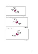 Referāts 'Frazeoloģismu lietojums vidusskolēnu leksikā', 19.