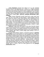 Eseja 'Romantisma filosofija', 5.