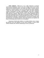 Eseja 'Romantisma filosofija', 6.