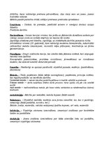 Konspekts 'Filosofijas jēdzieni', 2.