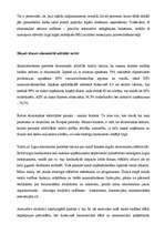 Referāts 'Mazais bizness ekonomiski attīstītās valstīs', 3.