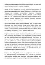 Referāts 'Mazais bizness ekonomiski attīstītās valstīs', 9.