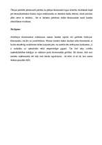 Referāts 'Mazais bizness ekonomiski attīstītās valstīs', 10.