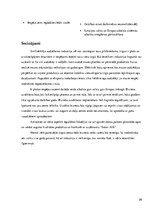 Referāts 'Industrijas analīze', 26.