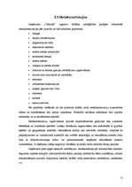 Referāts 'SIA "Viadukts"', 12.