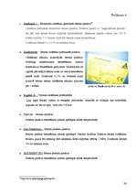 Referāts 'SIA "Viadukts"', 24.