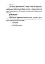 Eseja 'Septiņi faktori, kas ietekmē komercdarbību Latvijā', 4.