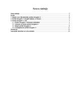 Referāts 'Mans biežāk apmeklētais portāls', 2.