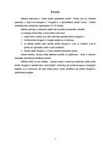 Referāts 'Mans biežāk apmeklētais portāls', 3.