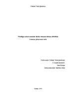 Referāts 'Veselīga uztura nozīme skolas vecuma bērnu attīstībā', 1.