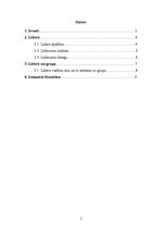 Referāts 'Līdera uzvedība un mijiedarbība ar grupu', 2.