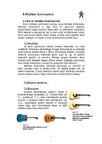 Referāts 'Ģitāras', 5.