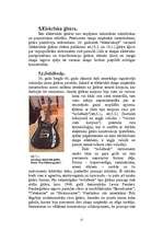 Referāts 'Ģitāras', 12.