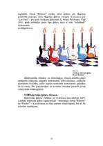 Referāts 'Ģitāras', 13.