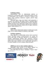 Referāts 'Ģitāras', 17.