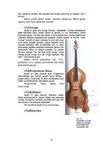 Referāts 'Ģitāras', 20.