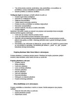 Paraugs 'Projektu vadība. Pārbaudes darbs', 2.