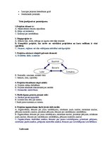 Paraugs 'Projektu vadība. Pārbaudes darbs', 3.