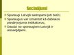 Prezentācija 'Sporaugi', 14.