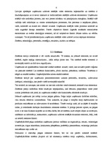 Referāts 'Iekšējās un ārējās vides ietekme uz uzņēmuma panākumiem', 6.