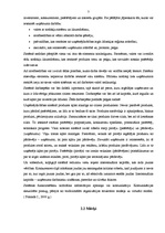 Referāts 'Iekšējās un ārējās vides ietekme uz uzņēmuma panākumiem', 7.