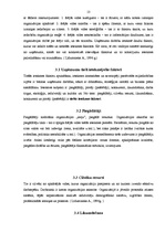 Referāts 'Iekšējās un ārējās vides ietekme uz uzņēmuma panākumiem', 13.