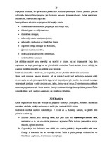 Referāts 'Iekšējās un ārējās vides ietekme uz uzņēmuma panākumiem', 19.