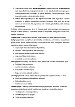 Referāts 'Iekšējās un ārējās vides ietekme uz uzņēmuma panākumiem', 20.