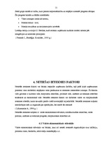 Referāts 'Iekšējās un ārējās vides ietekme uz uzņēmuma panākumiem', 21.