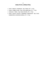 Referāts 'Iekšējās un ārējās vides ietekme uz uzņēmuma panākumiem', 29.