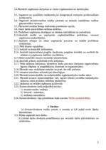 Konspekts 'Amata apraksts komercdirektoram', 2.