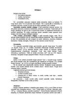 Konspekts 'Reliģijas', 1.