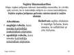 Prezentācija 'Personības psihes struktūra un izziņas darbība profesionālajā darbā', 24.