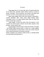 Referāts 'Sākumskolas bērnu psihiskās attīstības posms', 19.