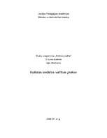 Prakses atskaite 'Kultūras iestādes vadības prakse koncertestrādē "Pūt, vējiņi"', 1.