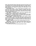 Referāts 'P.Rozītis "Valmieras puikas" analīze', 6.