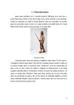 Referāts 'Jostas soma', 3.