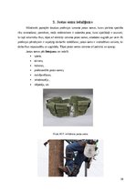 Referāts 'Jostas soma', 10.