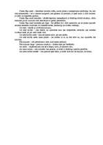 Eseja 'Dzejoļa "Baiga vasara" analīze', 2.