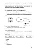 Referāts 'Krituša koka un celma salīdzinājums meža ekosistēmā', 20.