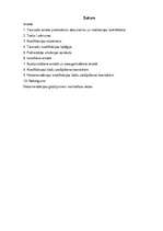 Referāts 'Tiesneša amata pretendentu dokumentu un motivācijas izvērtēšana', 1.