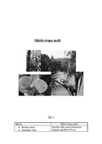 Konspekts 'Mitrie tropu meži', 1.